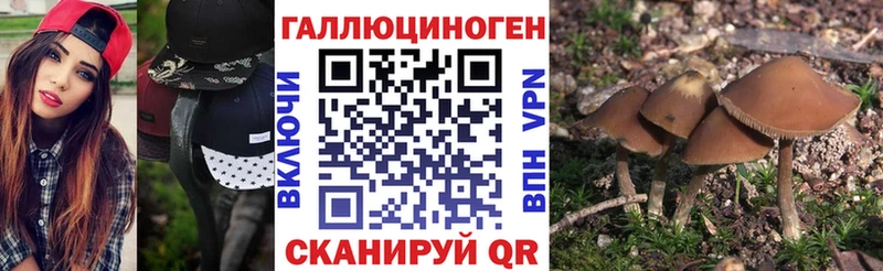 Купить где  Горнозаводск  Галлюциногенные грибы прущие грибы 